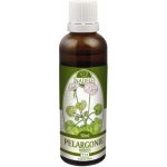 Naděje Pelargonie tinktura z bylin 50 ml – Hledejceny.cz
