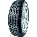 Federal Himalaya WS2 225/60 R17 103T – Hledejceny.cz