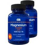 GS Magnesium Malate Pure 1000 mg + B6 2 x 100 tablet – Hledejceny.cz