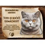 Cedulky-sporthobby 019 Cedulka Kočka Britská krátkosrstá Čeština 20 x 15 cm – Zboží Dáma
