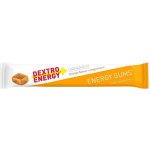 DEXTRO ENERGY - ENERGY GUMS + Hořčík 45g – Zboží Dáma