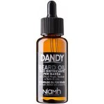 Dandy Beard Oil olej na bradu a vousy 70 ml – Zboží Dáma