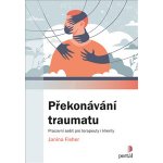 Překonávání traumatu – Hledejceny.cz