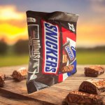 Mars Snickers Mini's 227 g 12ks – Hledejceny.cz