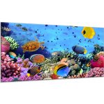 Obraz do koupelny želva, ryby, korály a sasanky - 50 x 100 cm – Zboží Mobilmania