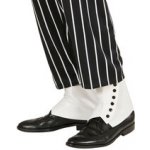 Psí dečky – Sleviste.cz