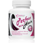 Perfect Hair New methionin 500 mg 100 tablet – Zboží Mobilmania