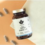Puhdistamo Triple Zinc 15 mg + Vitamin C 120 kapslí – Hledejceny.cz