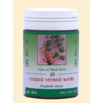 TCM Herbs Utišení větrné bouře 100 tablet – Hledejceny.cz