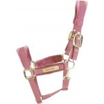 Kentucky Ohlávka Velvet old rose – Hledejceny.cz