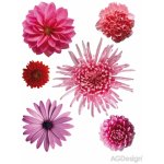 AG Design, Samolepka / samolepící dekorace na zeď F 0406, Růžové květy – Zboží Mobilmania