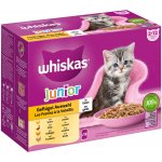 Whiskas Junior drůbeží výběr v želé 85 g – Hledejceny.cz