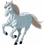 Samolepka (na auto, notebook) kůň (12) – Zboží Živě