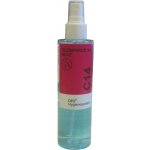 WZ nails Oro chemie C 10 dezinfekce na ruce alkoholová ve spreji 200 ml – Sleviste.cz