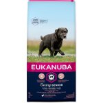 Eukanuba Caring senior Large Breed 15 kg – Zboží Mobilmania
