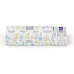 Biogena Wellness Selection kazeta čajů maxi 4 x 10 ks – Sleviste.cz