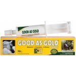 TRM Good As Gold pasta 70 g – Hledejceny.cz