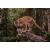 Plakát Fotografie Mountain Lion on Tree Stump, John Conrad, 40 × 26.7 cm