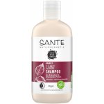 Sante Family Shampoo na lesk Bio Březové lístky & Rostlinné proteiny 250 ml – Sleviste.cz