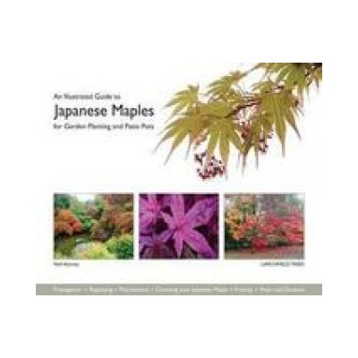 Illustrated Guide to Japanese Maples for Garden Planting and Patio Pots – Zbozi.Blesk.cz
