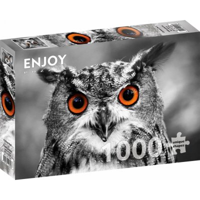 Enjoy Zvědavá sova 1000 dílků – Hledejceny.cz