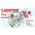 NUTREND Carnitine Magnesium Activity drink 750 ml – Hledejceny.cz