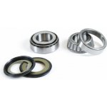 PROX ložiska řízení s těsnícími prvky HONDA CRM 125R 93-99, NX 125 95-97, KAWASAKI KX 65 00-09, KX 80/85 86-20,YAMAHA YZ 85 02-24, kyvného ramene HONDA GL1800 (22-1022) – Sleviste.cz