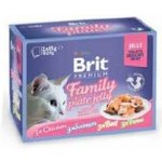 Brit cat Premium D Fillets jelly Family Plate 1 kg – Hledejceny.cz