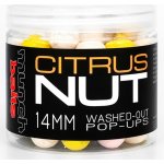 Munch Baits Citrus Nut Washed Out Pop Ups 200ml 14mm – Zboží Mobilmania