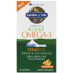 Minami Nutrition Omega 3 Vegan DHA z mořské řasy 60 kapslí – Hledejceny.cz