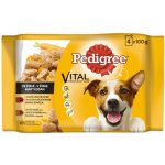 Pedigree Adult ve šťávě hovězí krůtí 4 x 100 g – Hledejceny.cz
