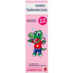 Vademecum Junior jahoda 50 ml – Hledejceny.cz