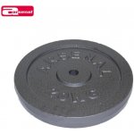 Arsenal litina 20 kg - 25mm – Zbozi.Blesk.cz