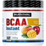Survival BCAA Instant 300 g – Sleviste.cz