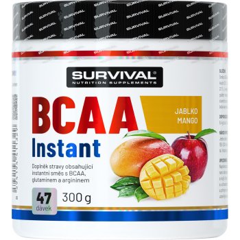 Survival BCAA Instant 300 g