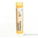 POUMON HISTAMINE POR 15CH GRA 4G – Hledejceny.cz