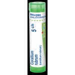 CORALLIUM RUBRUM POR 5CH GRA 1X4G – Hledejceny.cz