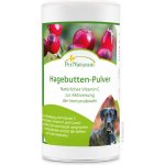 PerNaturam šípkový prášek Vitamín C 250 g – Hledejceny.cz