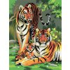 Malování podle čísla Royal Langnickel Malování podle čísel 22x30 cm - Tygři