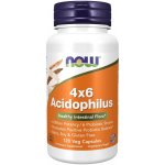 Now Foods Probiotikum 4x6 Acidophilus 120 kapslí – Hledejceny.cz