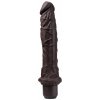 Vibrátor Blush Dr. Skin Silicone Dr. Richard 9 Inch Vibrating Dildo Brown