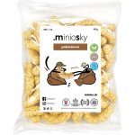 Minios Pohankové křupky 40 g – Zboží Dáma