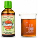 Bylinné kapky Sliznice – bylinná tinktura 50 ml – Hledejceny.cz