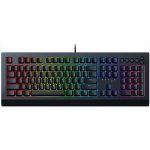 Razer Cynosa V2 RZ03-03400100-R3M1 – Hledejceny.cz