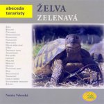 Želva zelenavá - Robimaus – Sleviste.cz
