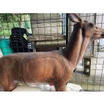 Eleven Jelen – Zboží Dáma Eleven Jelen – Zboží Dáma