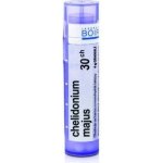 CHELIDONIUM MAJUS POR 30CH GRA 1X4G – Hledejceny.cz