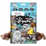 LyoPro CAT Kuřecí srdce 50 g – Zbozi.Blesk.cz