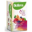 Biogena FANTASTIC FRUITMIX 4 x 5 sáčků ovocný čaj 42 g