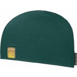 Ortovox 140 Cool Beanie zelená – Zboží Mobilmania